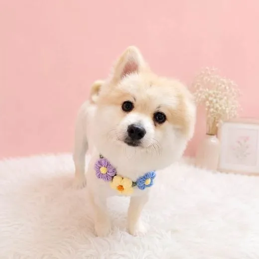 Boss cưng từng ghé tiệm MITUU