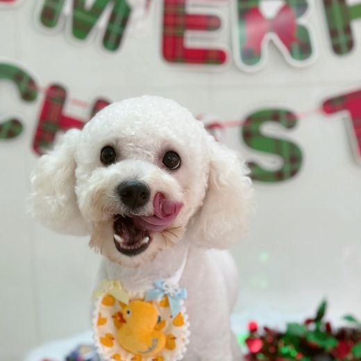 Boss cưng từng ghé tiệm MITUU