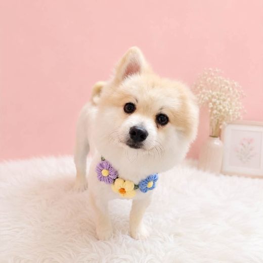 Boss cưng từng ghé tiệm MITUU